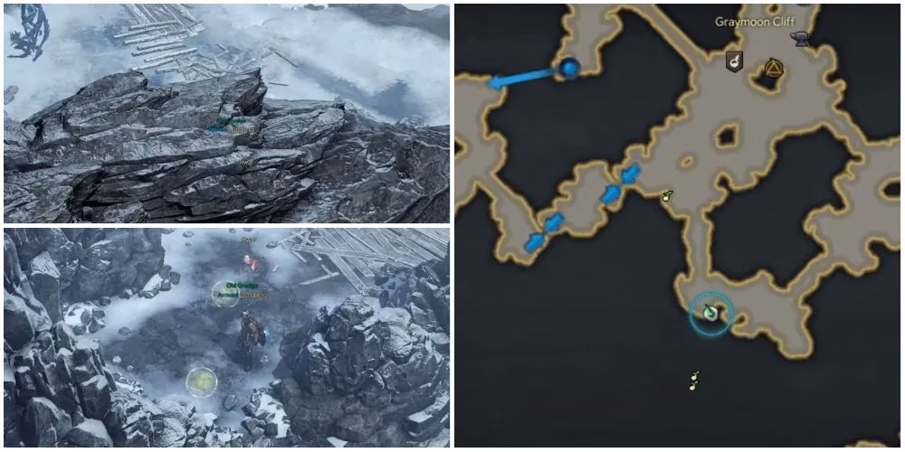 lost-ark-all-six-mokoko-seeds-in-icewing-heights-a-2026-route-image-3