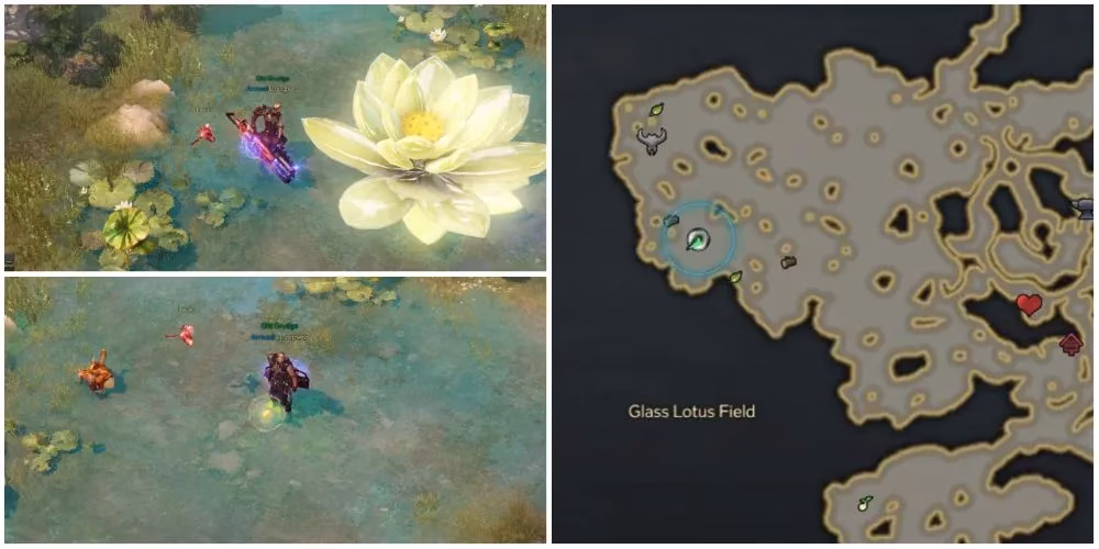 lost-ark-glass-lotus-lake-mokoko-seeds-nine-snacks-for-a-2026-collector-image-2
