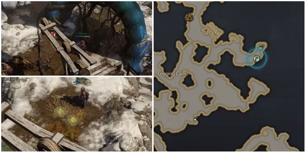 lost-ark-lake-eternity-mokoko-seeds-complete-2026-collection-guide-image-4